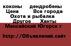 коконы    дендробены › Цена ­ 25 - Все города Охота и рыбалка » Другое   . Ханты-Мансийский,Югорск г.